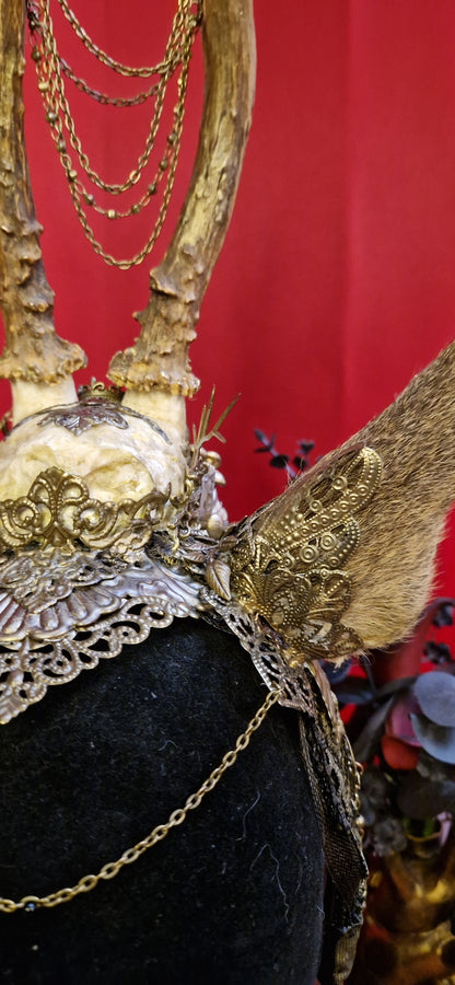 Headpiece: Holdas Krone